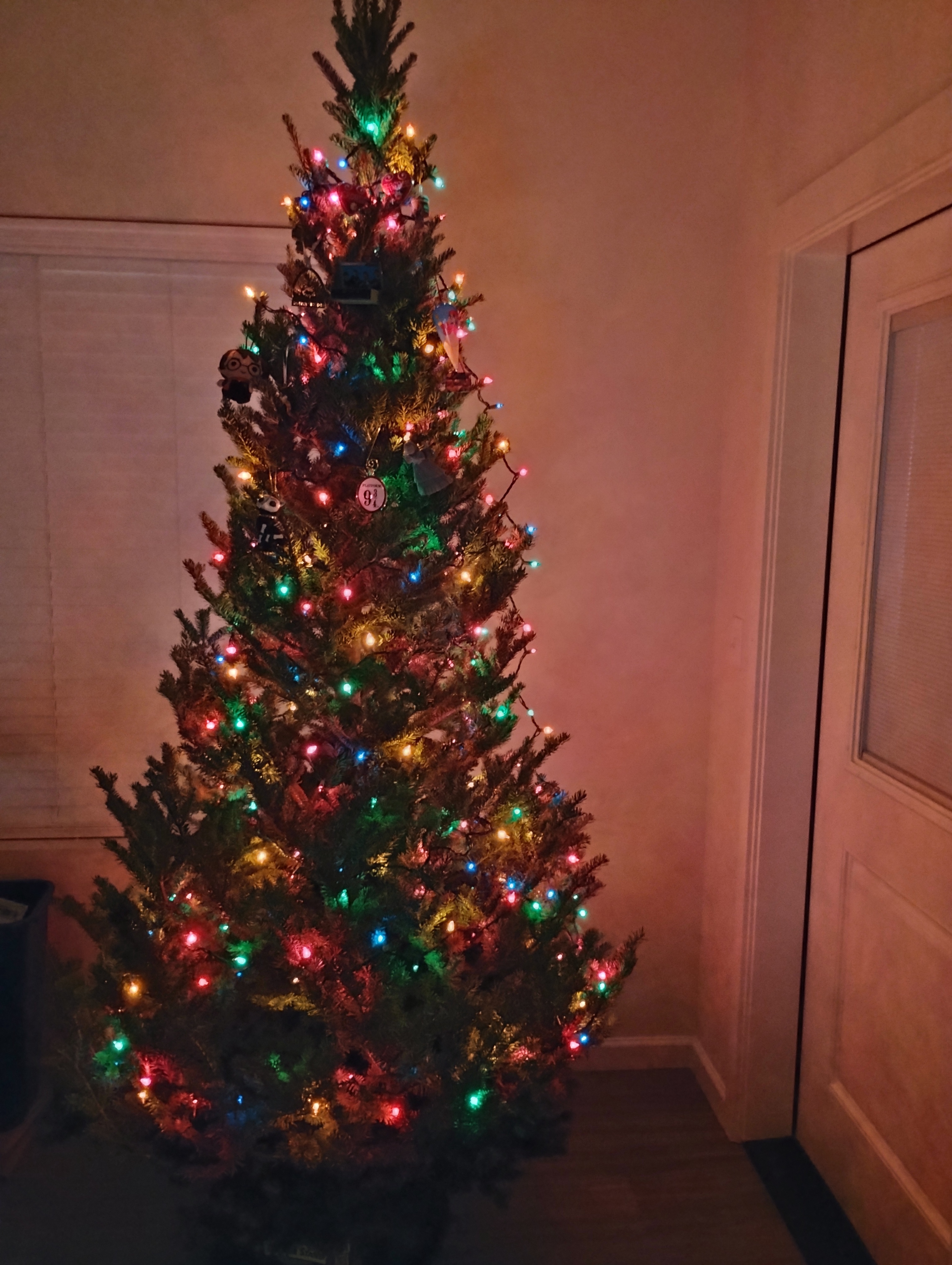 We Finally Found the Perfect Christmas Tree!