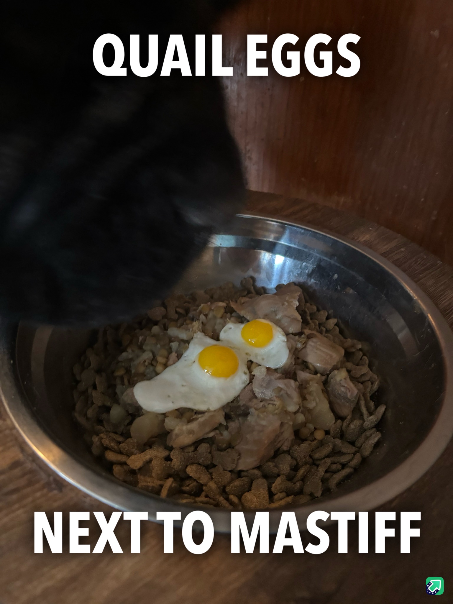 My Special Valentine's Recipe for My Dog's Dinner