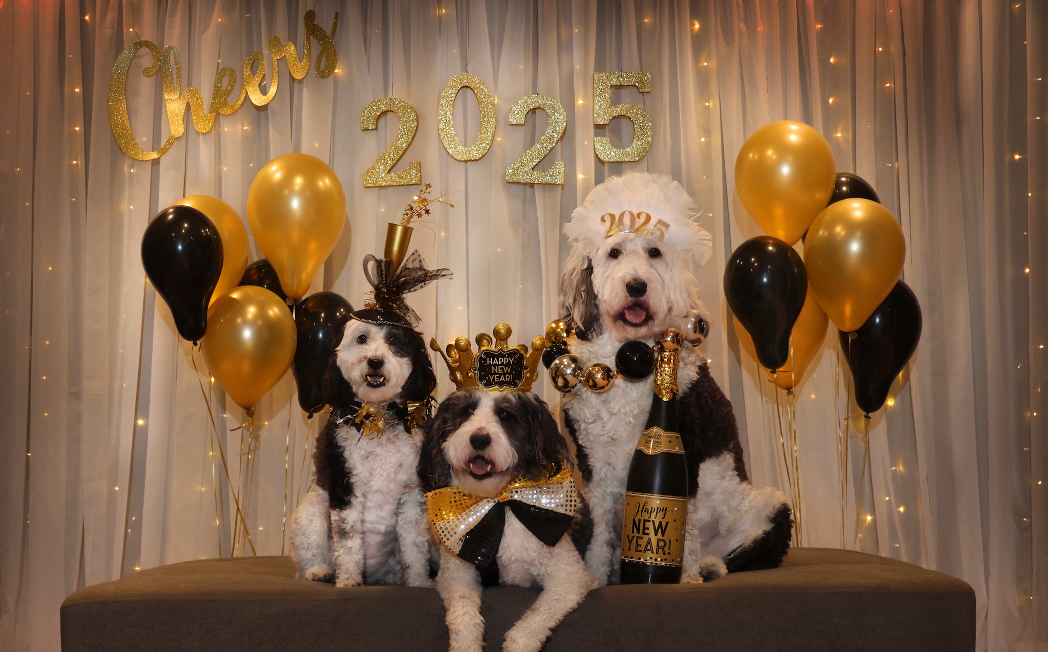 Celebrating the arrival of 2025 with joy!
