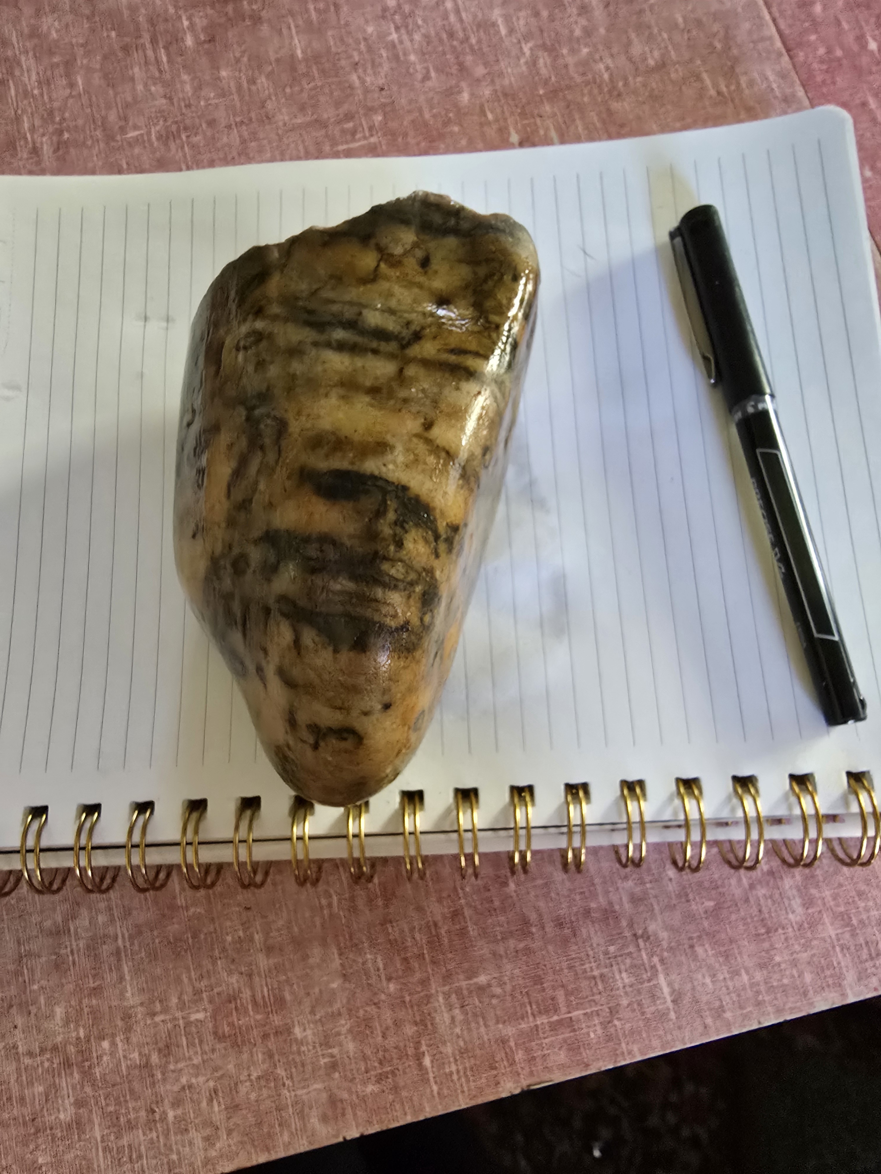 An Interesting Rock Unearthed in a Connecticut River