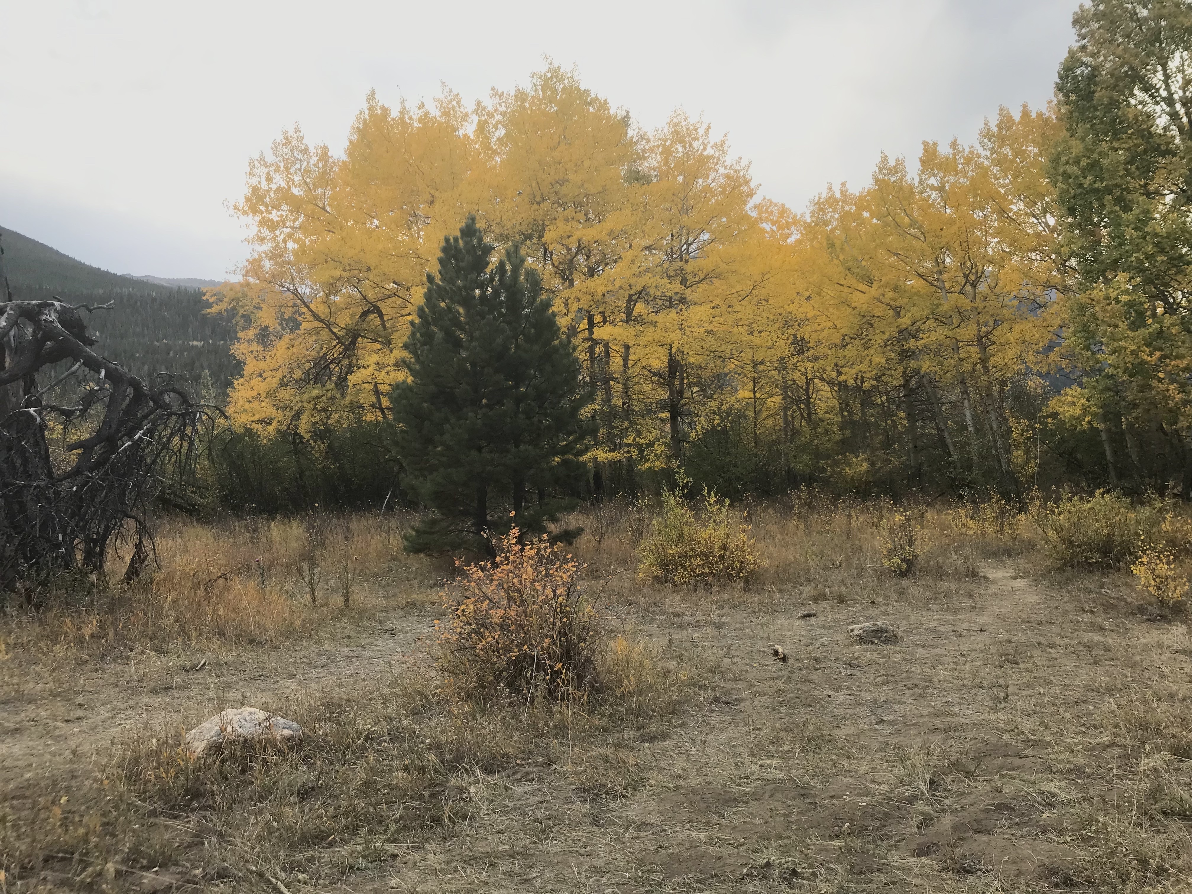 Adventures in Colorado and North Carolina: October 2024 Highlights