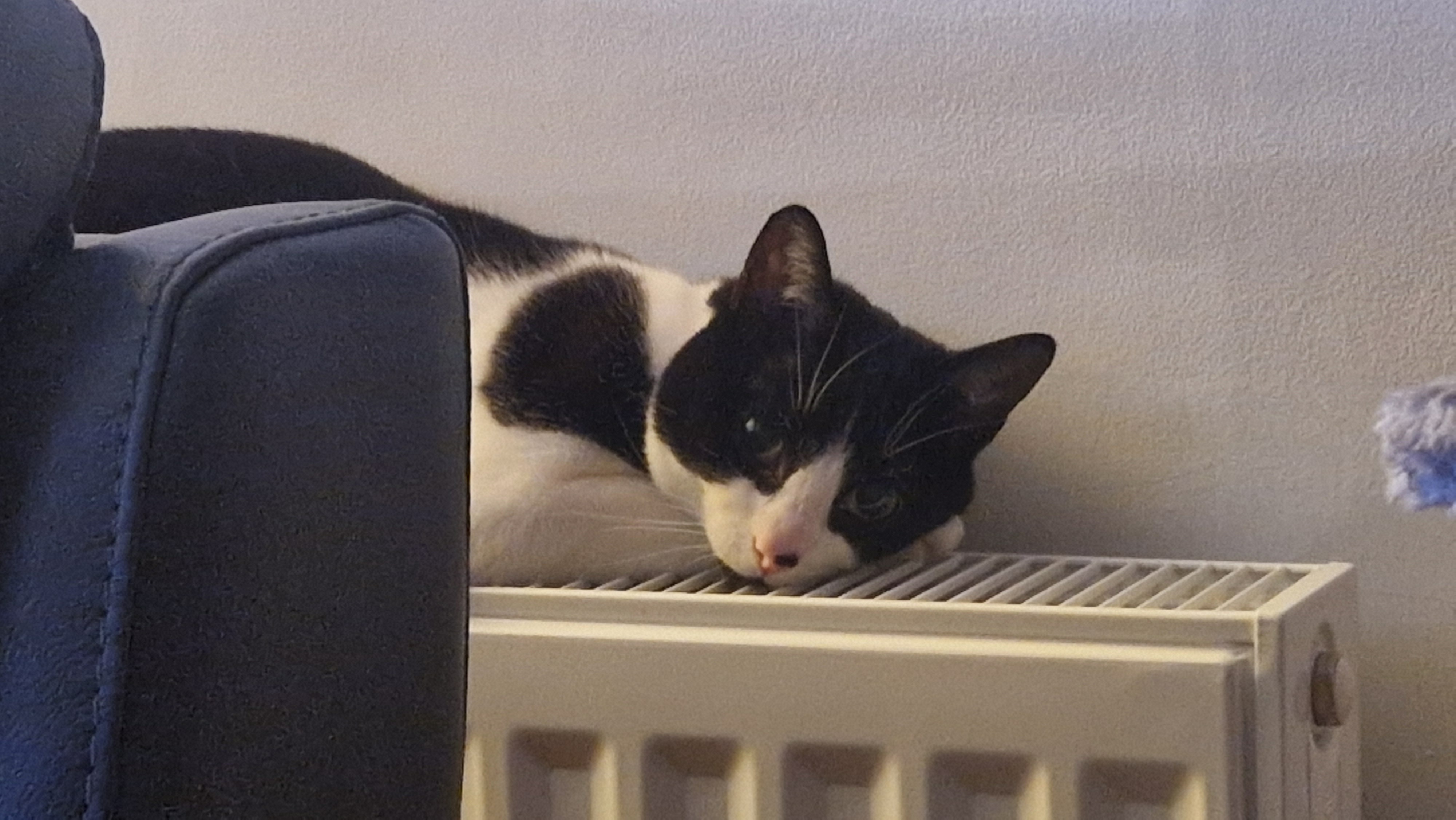 Here's how to know if the heating is actually on.