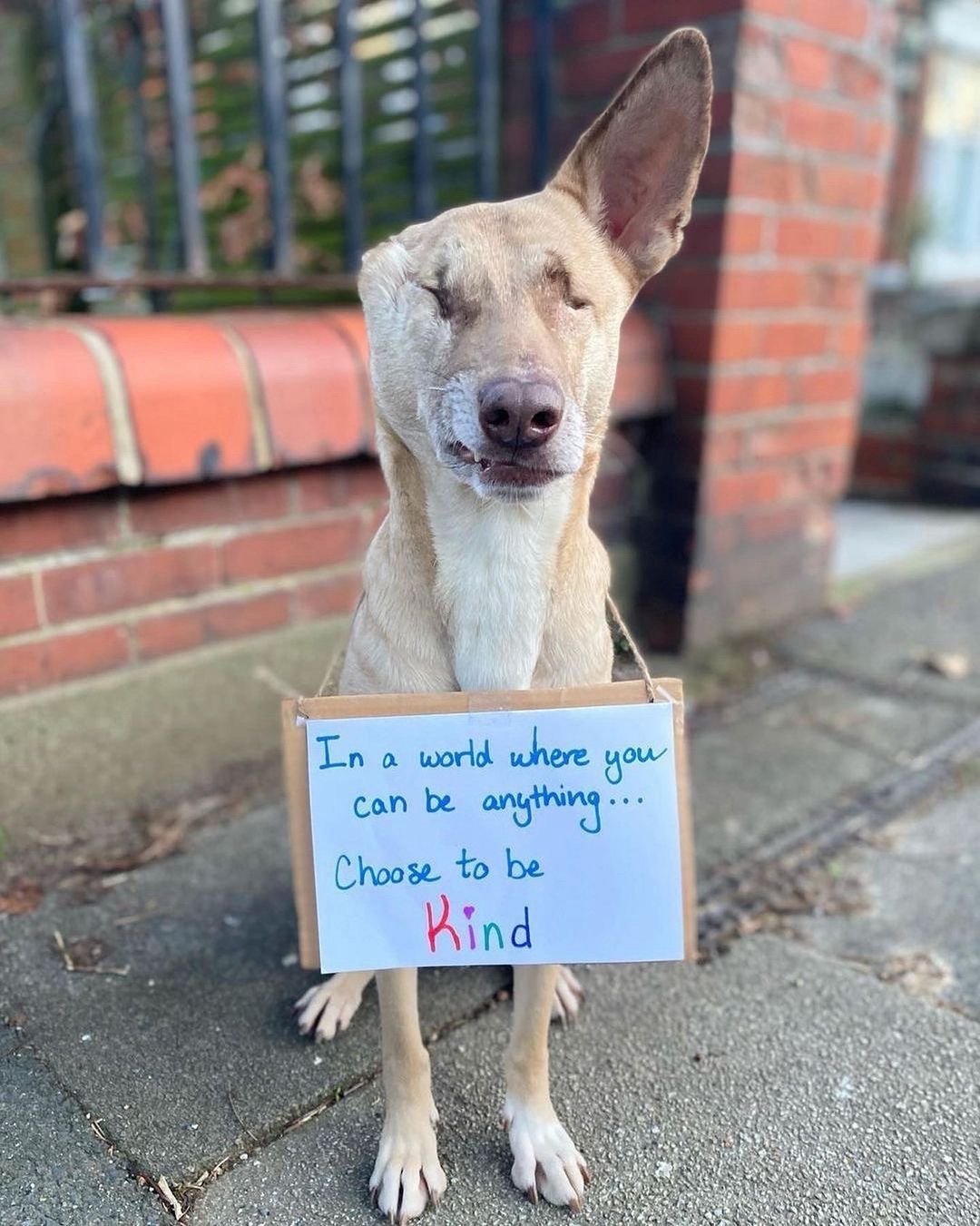Spread kindness wherever you go.