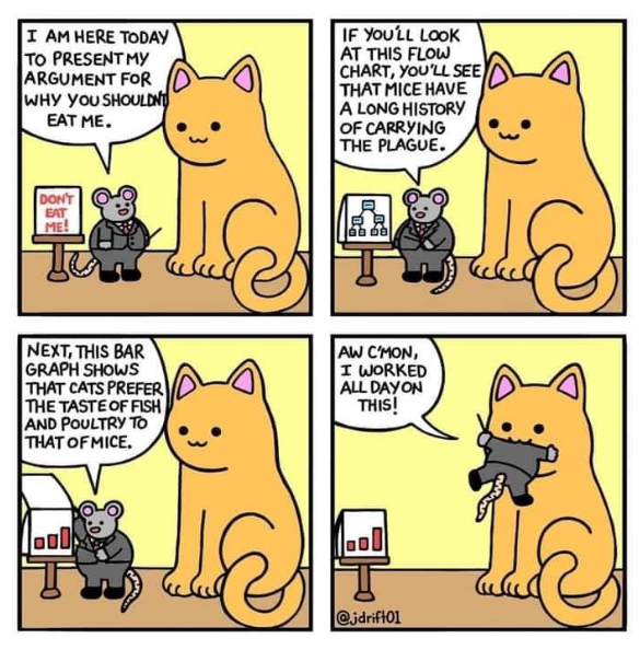 Why Cats Have a Soft Spot for Fish