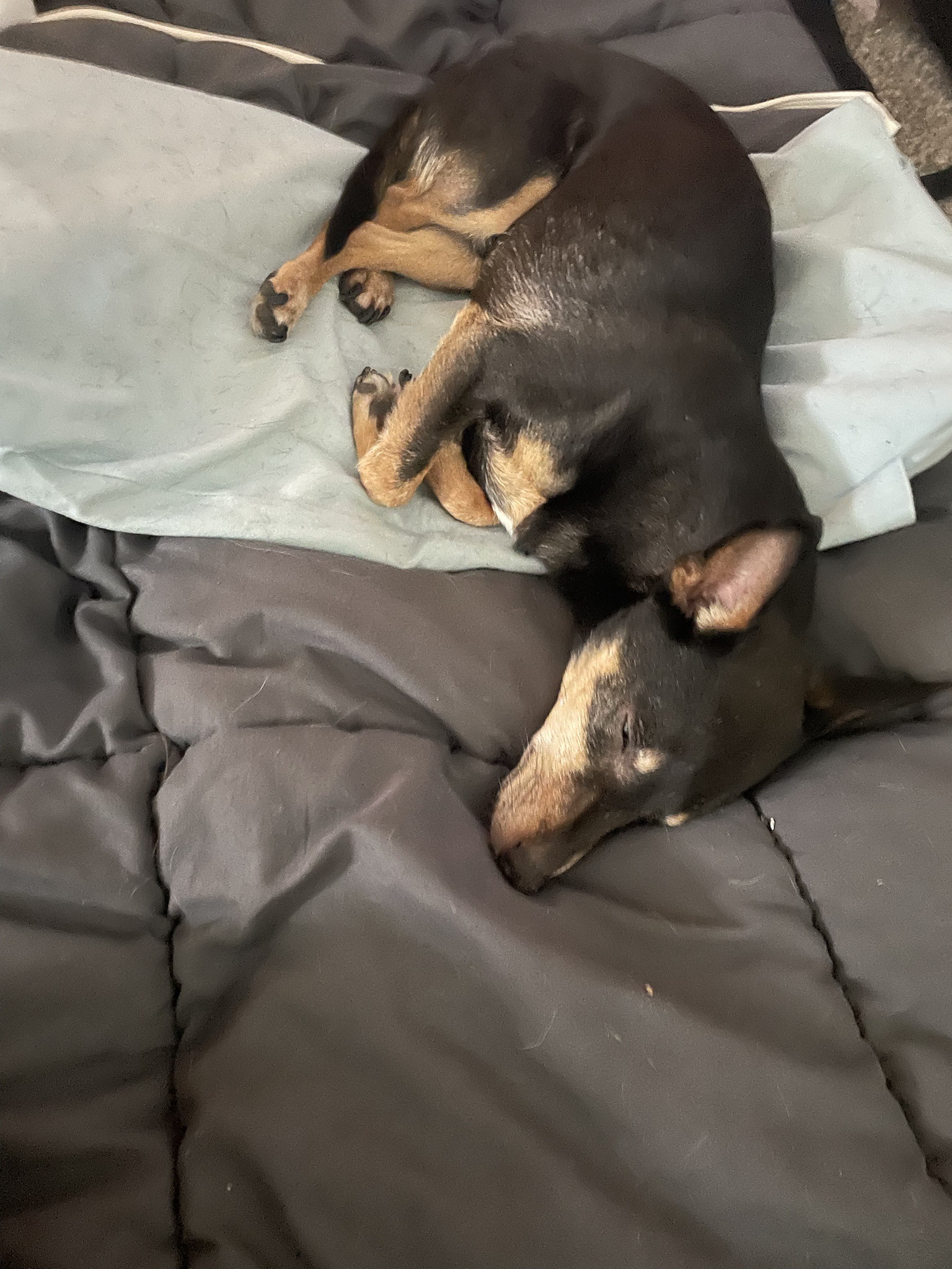 He’s feeling a bit homesick for his mom.