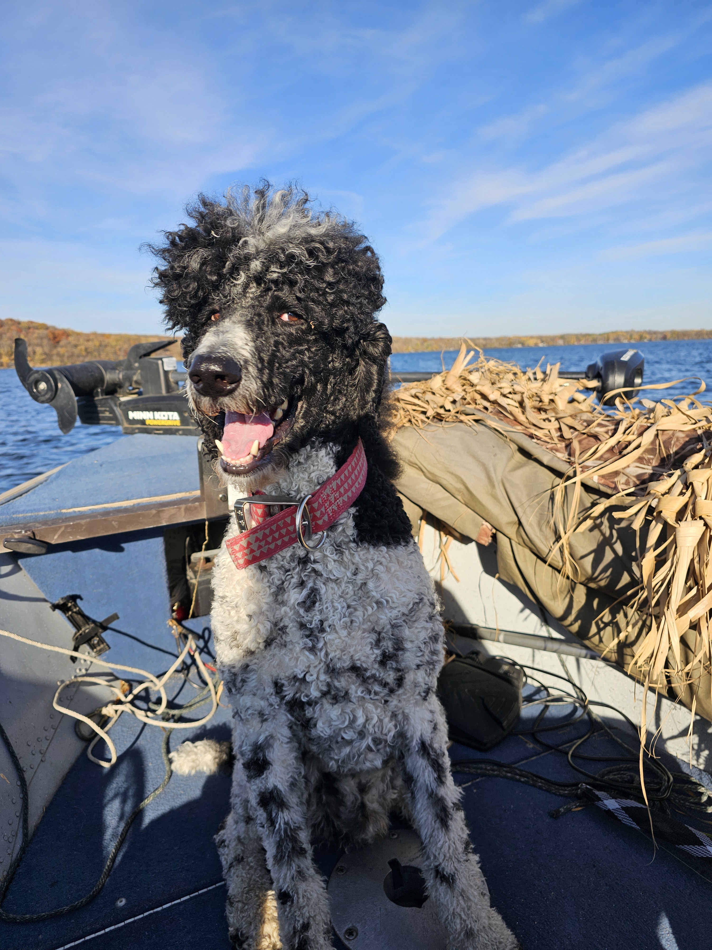You Want Me to Leap Out of the Boat?