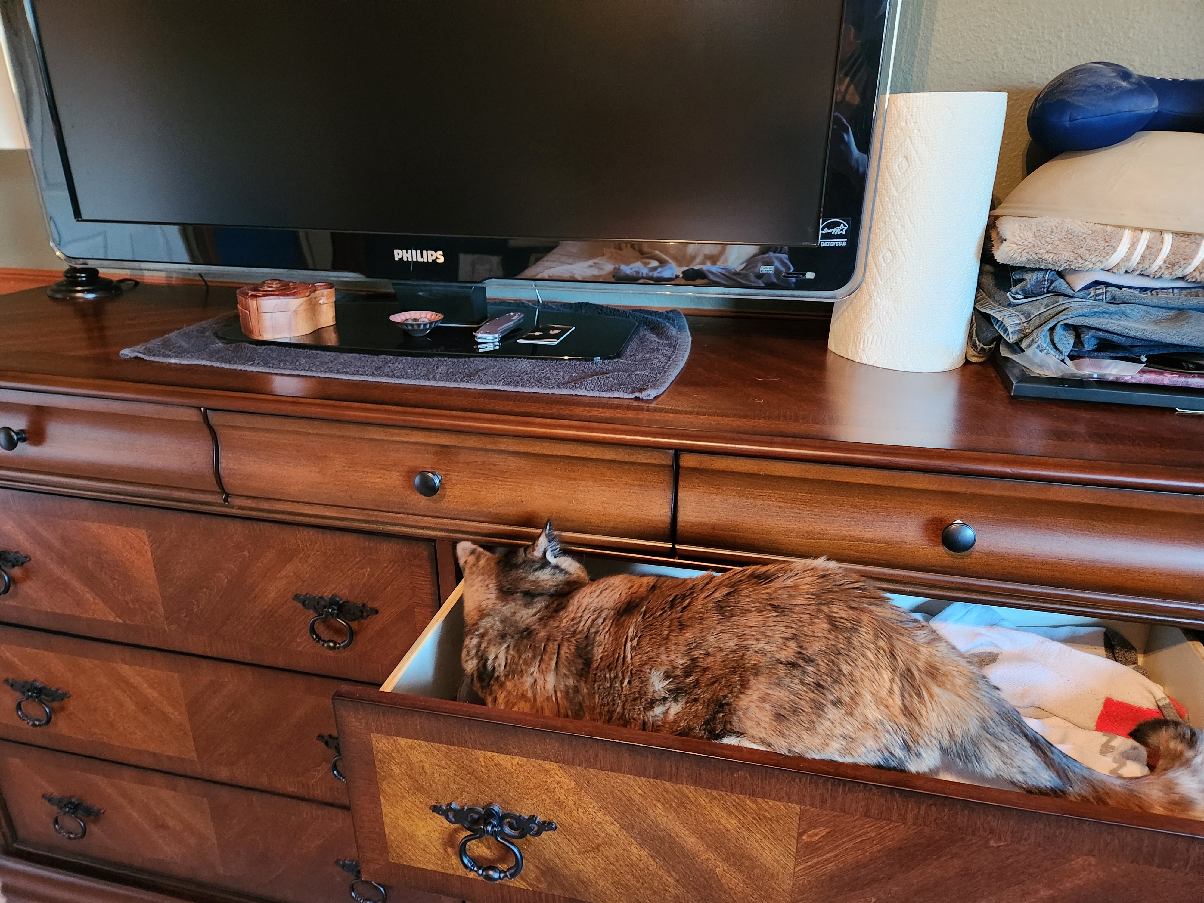 If she can squeeze in, she’s definitely in!
