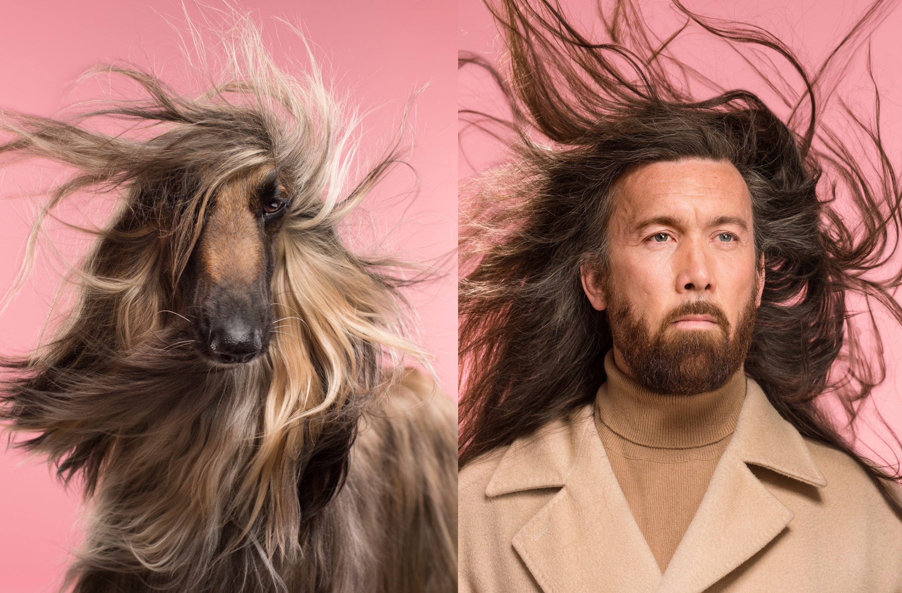 Study shows dogs and their owners are practically twins in style and personality