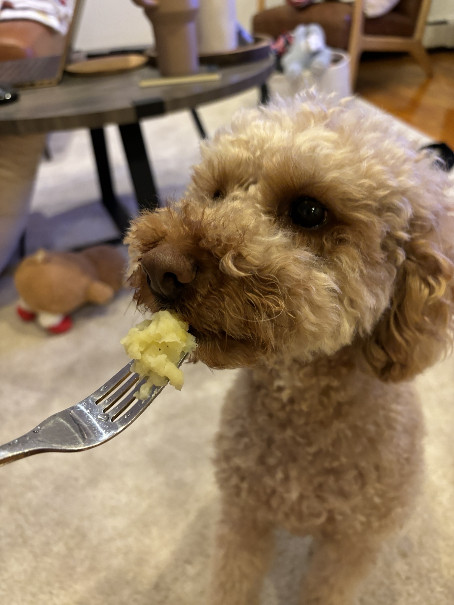 Delicious!