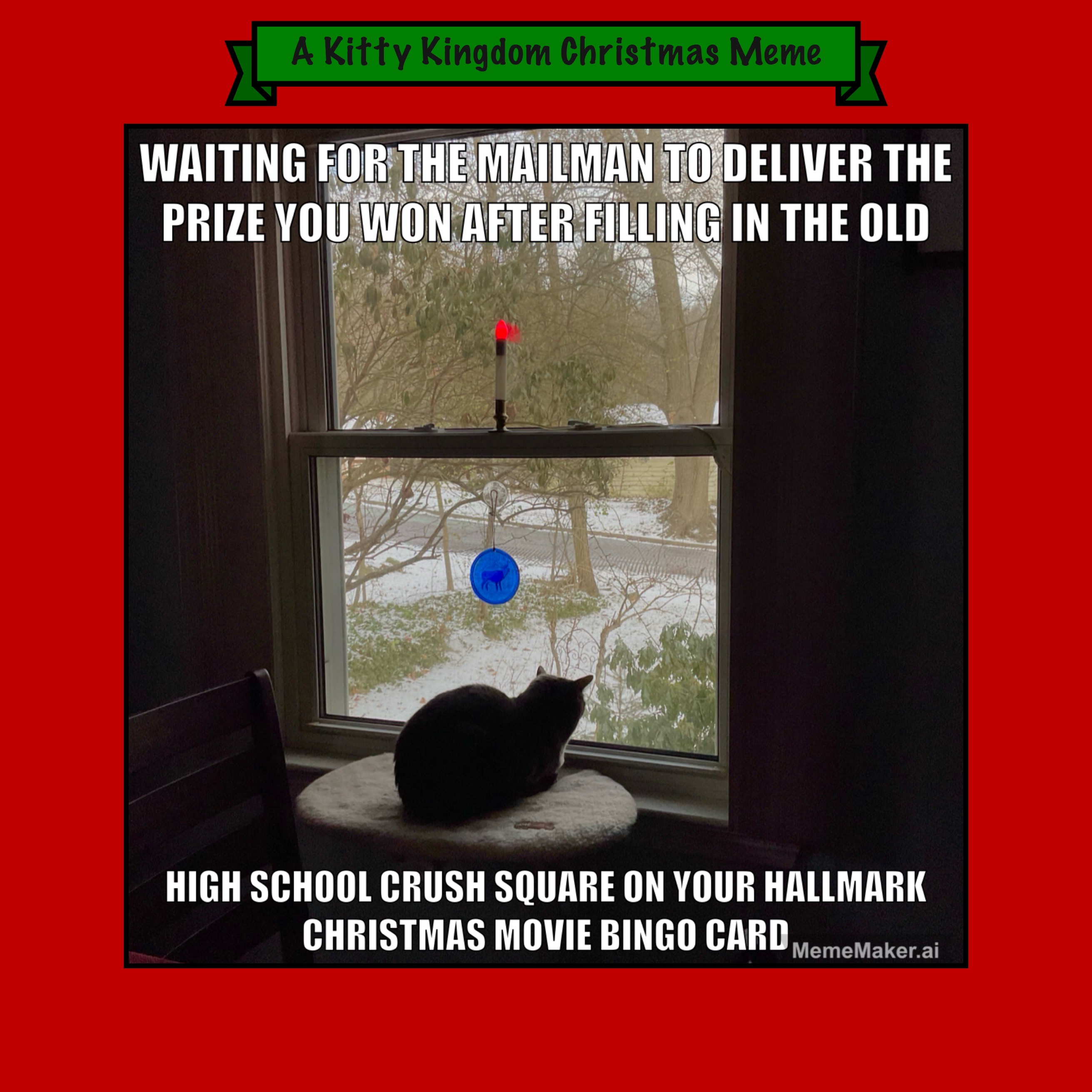 Countdown to Christmas in the Kitty Kingdom: Meme #19 (Original Content)