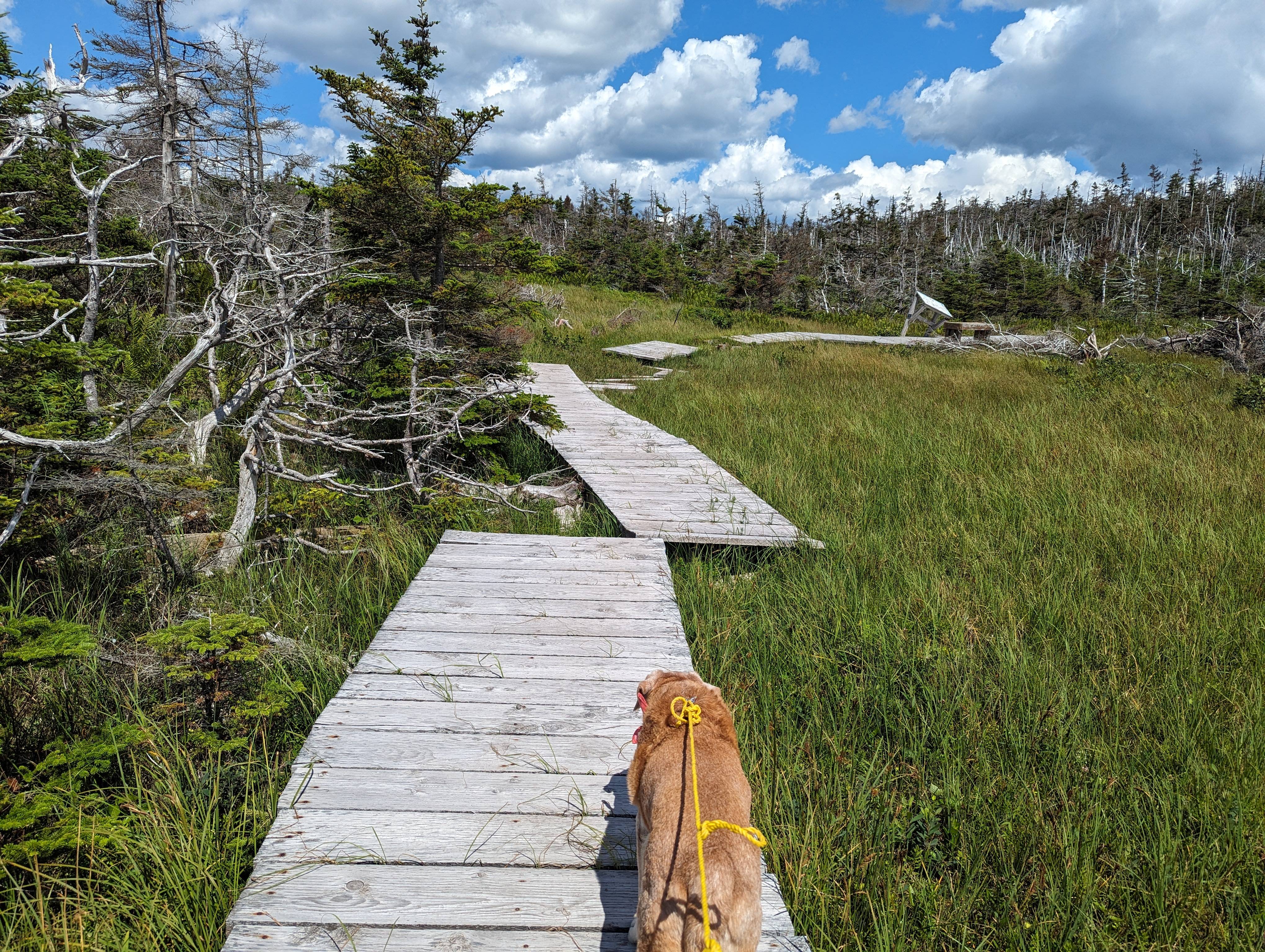 Exploring the Louisburg Trail Adventure