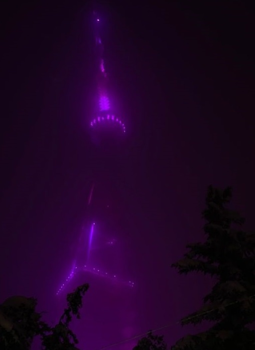 There's Something Mysterious Here