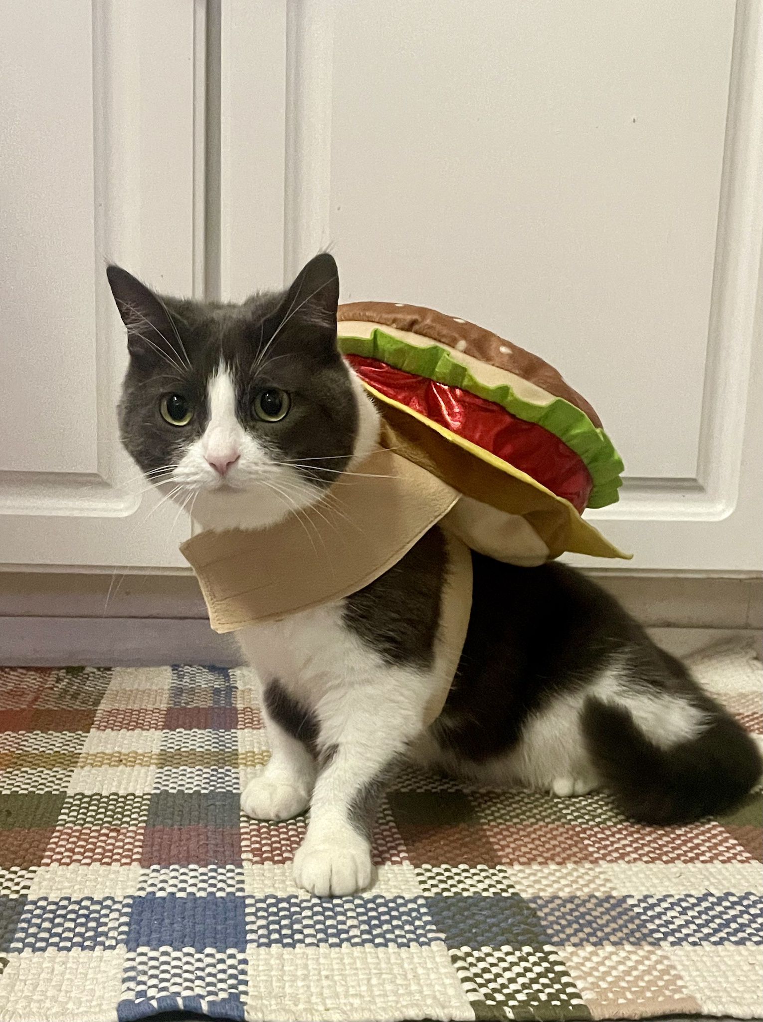 Everyday Heroes Don't Need Capes