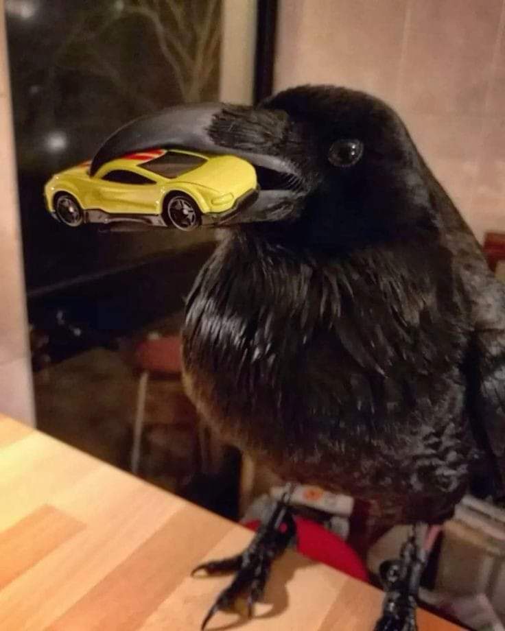 What Would You Trade for This Stunning New Car?