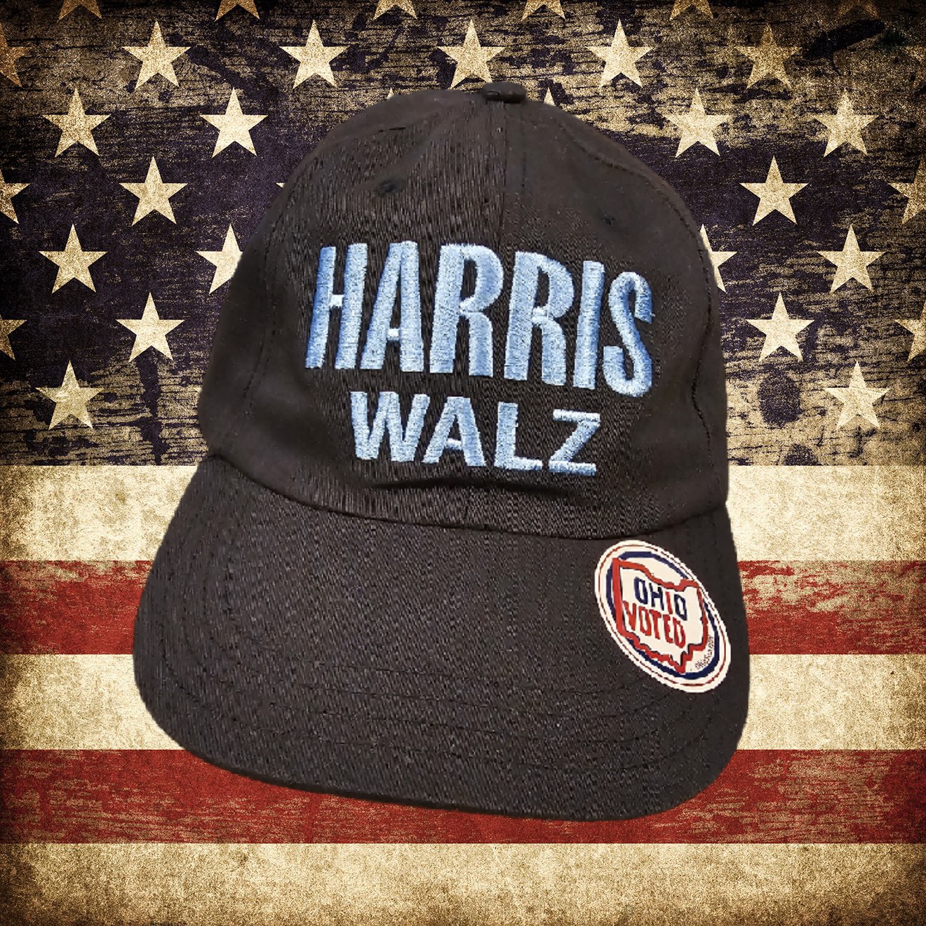I Voted Early Today and Got a Cute Little Sticker for My Hat!