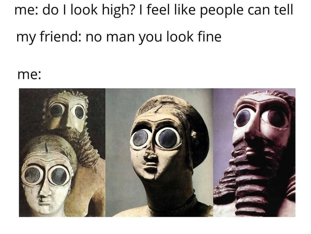 A Tiny Collection of Memes We Legally Borrowed