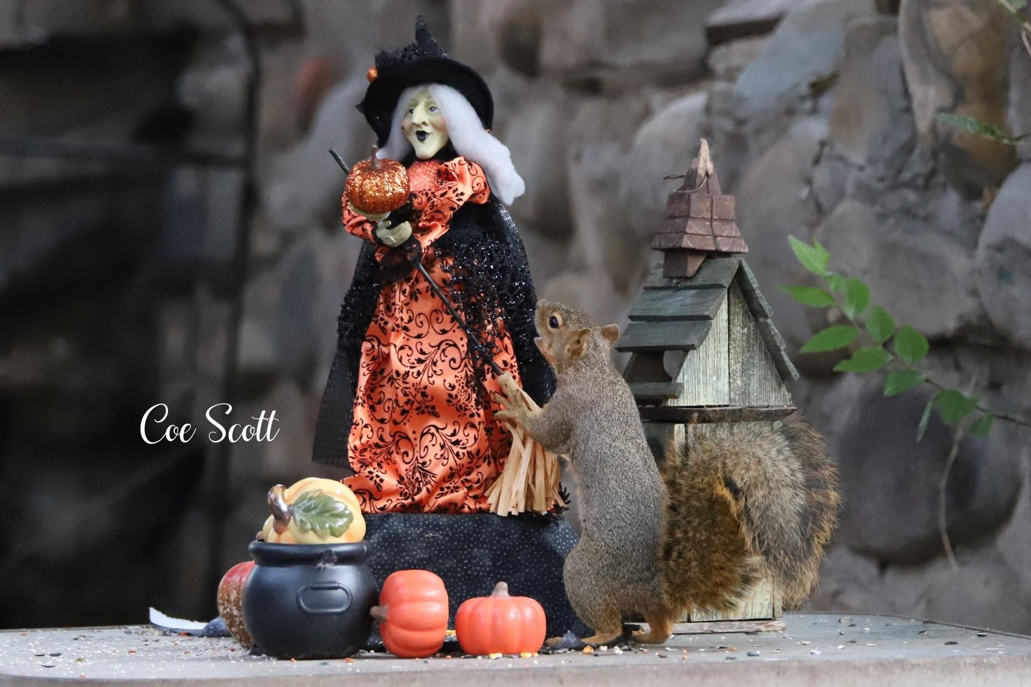 The Spooktacular Vibes of Halloween
