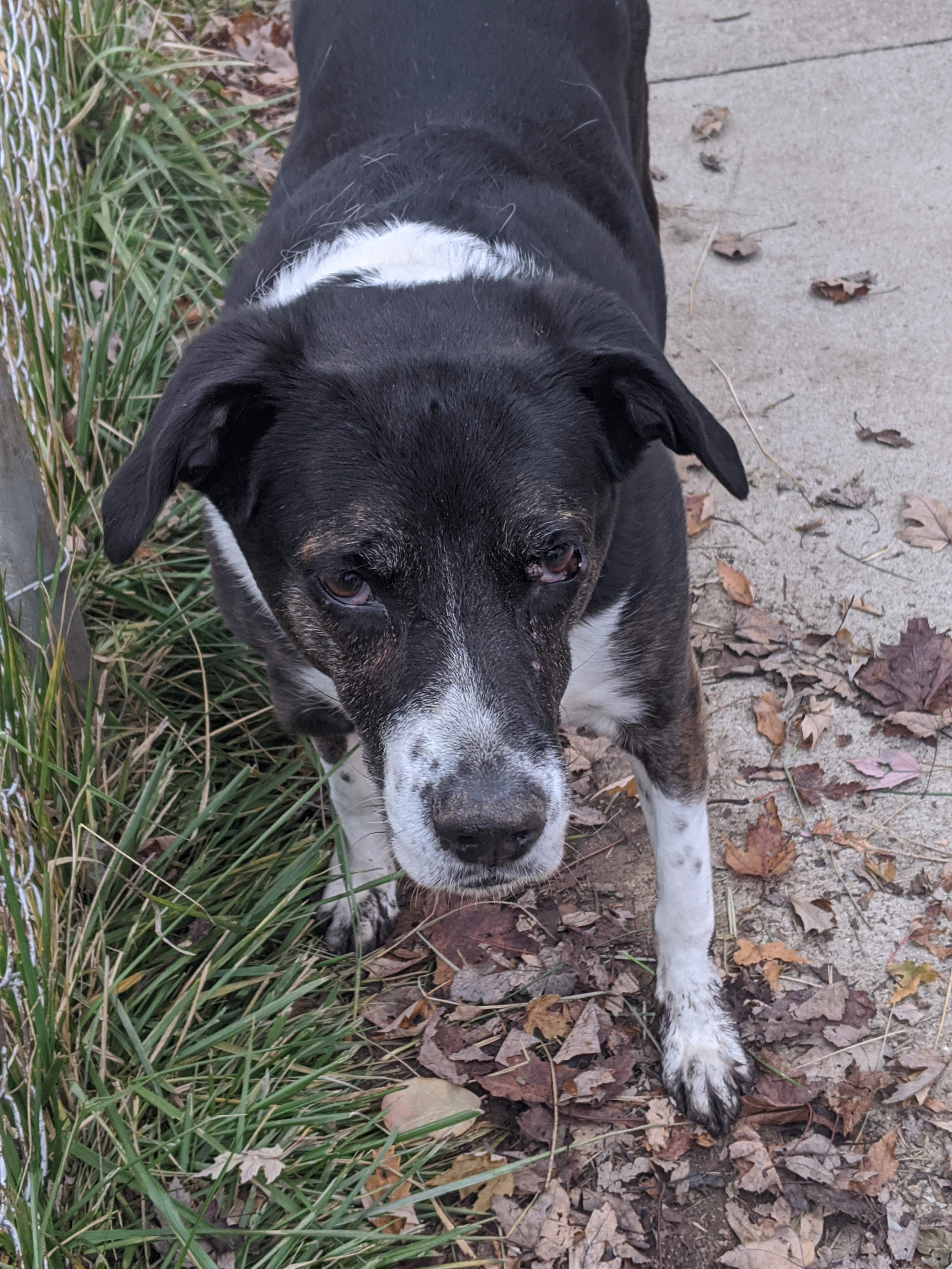 The Timeless Charm of an Old Girl