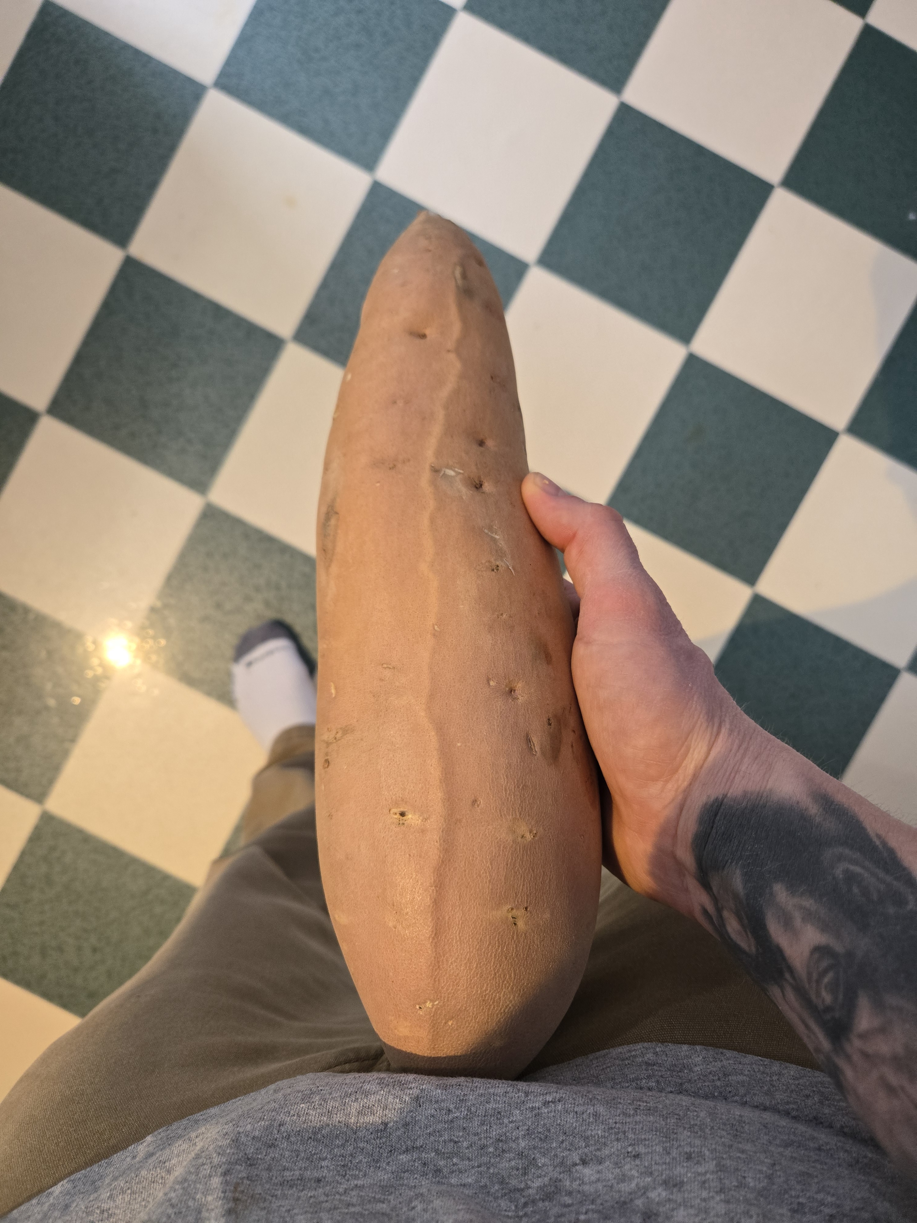 Check Out This 3-Pound Sweet Potato I Found!