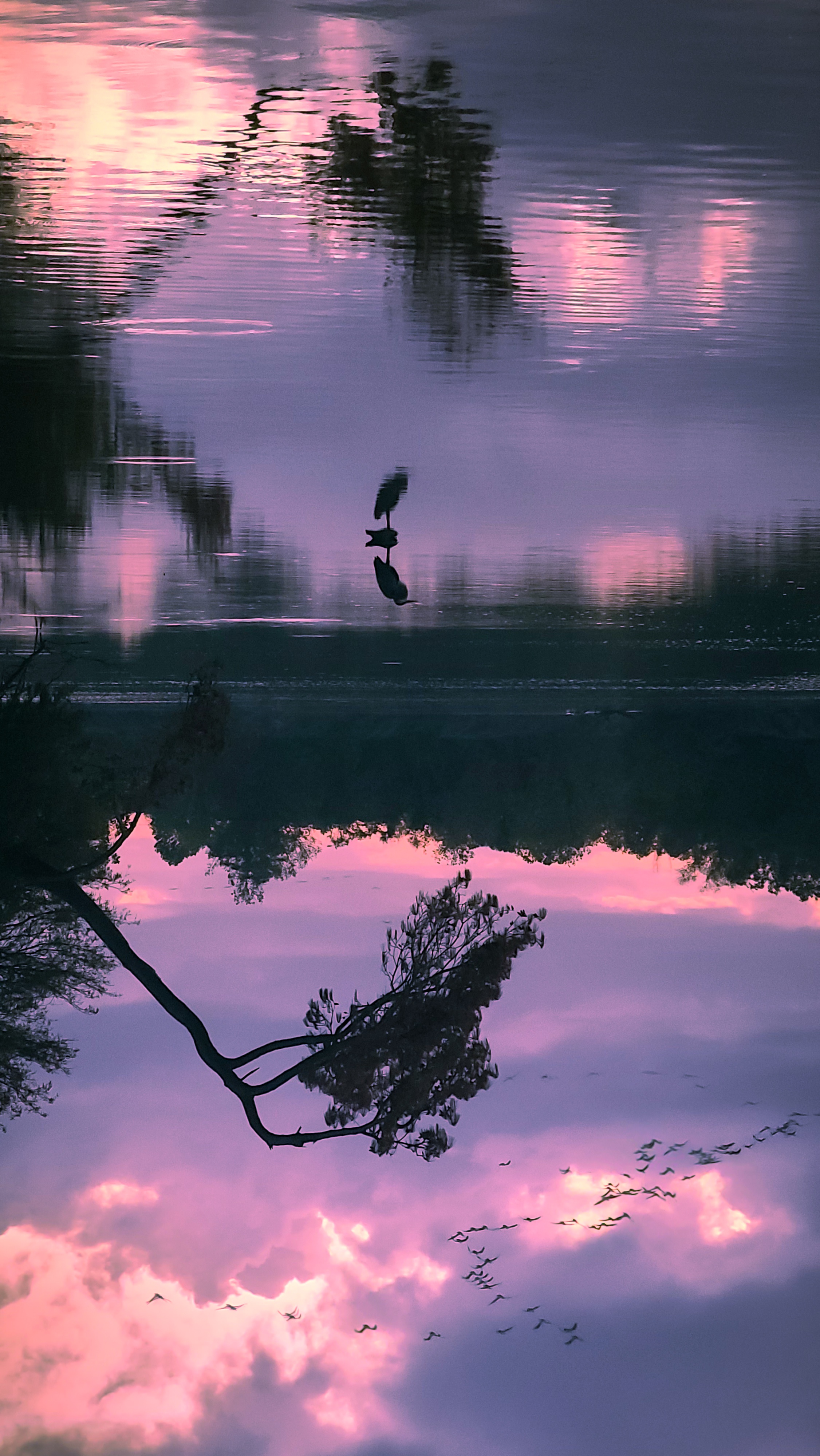 A Serene Reflection of a Single Egret