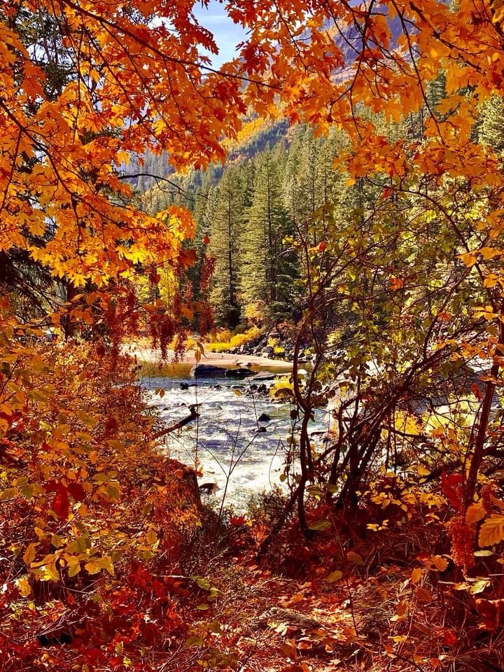 Embracing the Essence of Autumn
