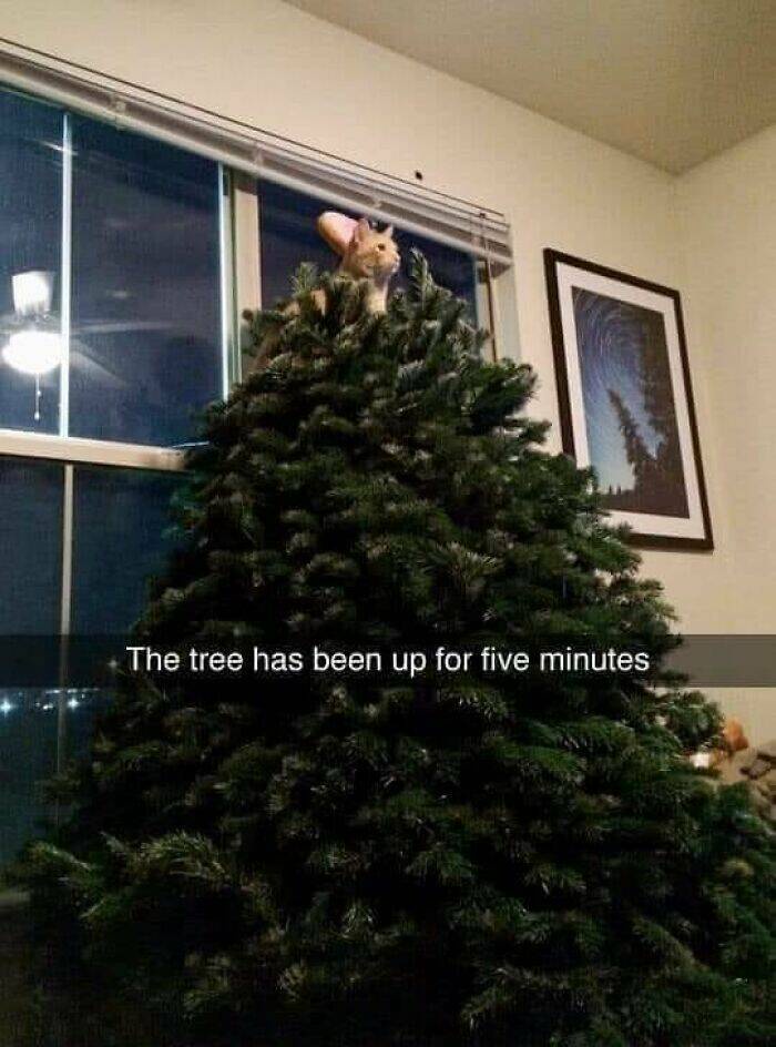 Just Five Minutes Can Change Everything