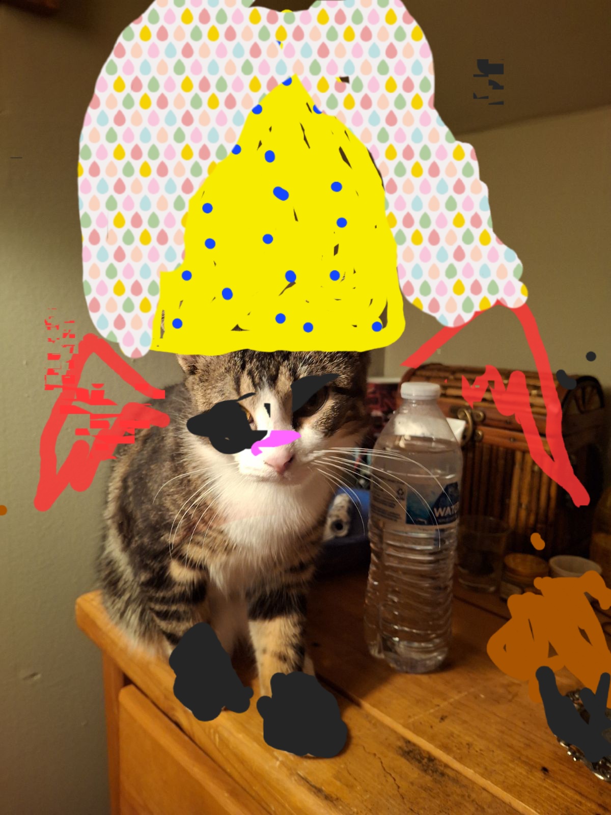 Look at this cat all dressed up for Halloween!