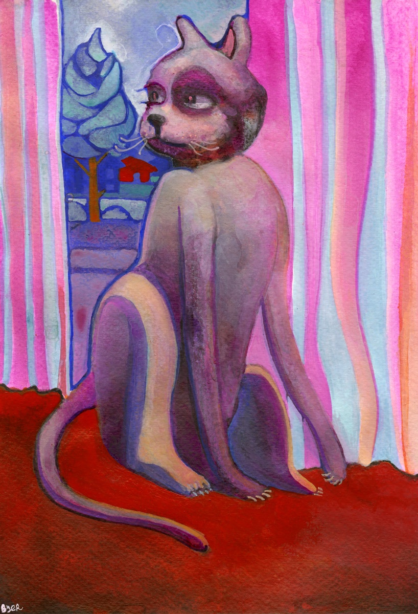 A curious cat lounging by the curtains