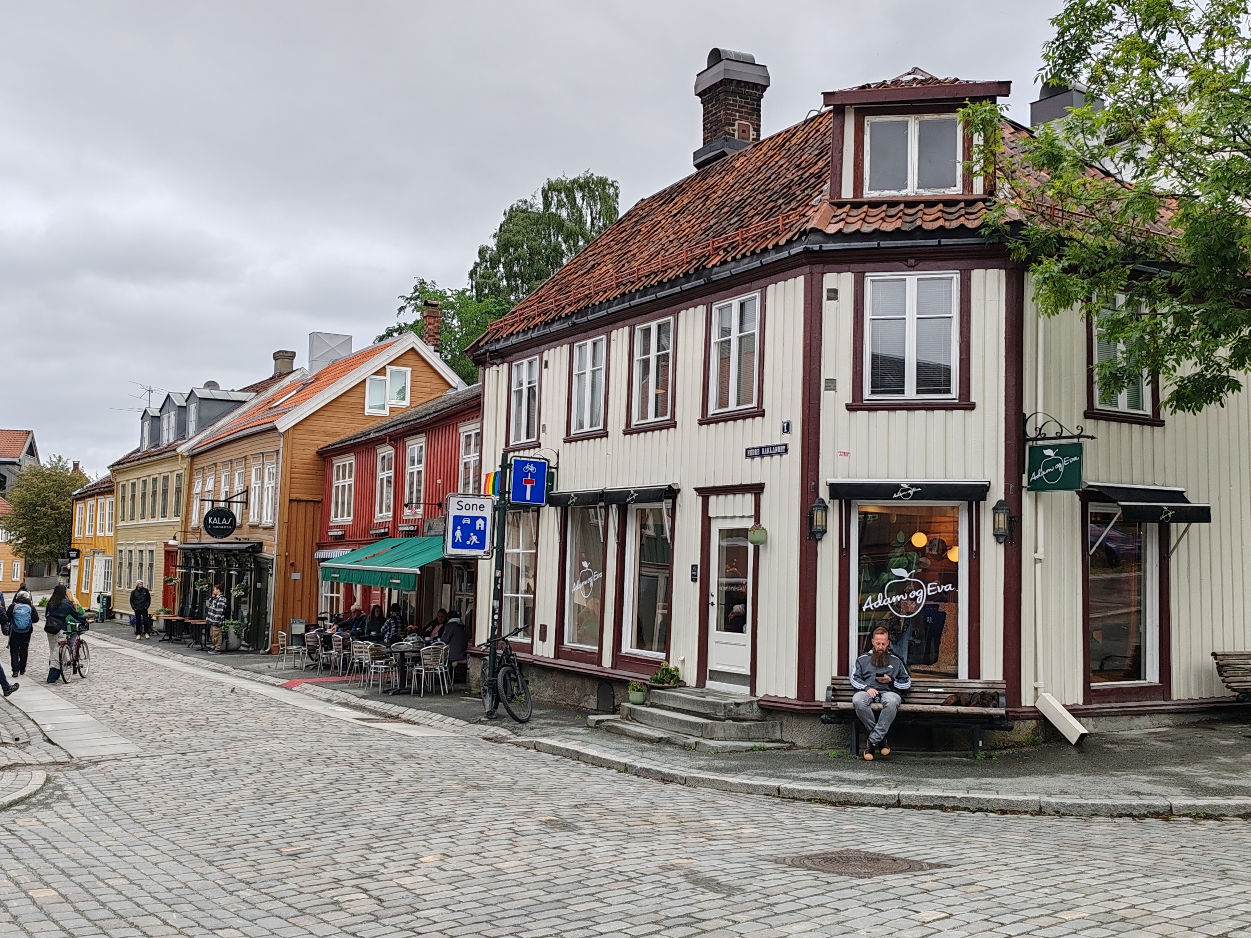 Exploring the Scenic Backland District of Trondheim, Norway