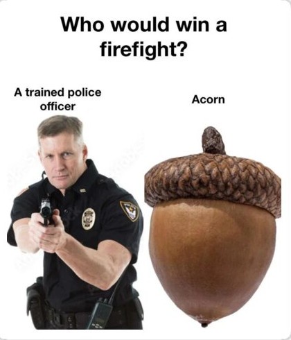 Let the Fights Begin!