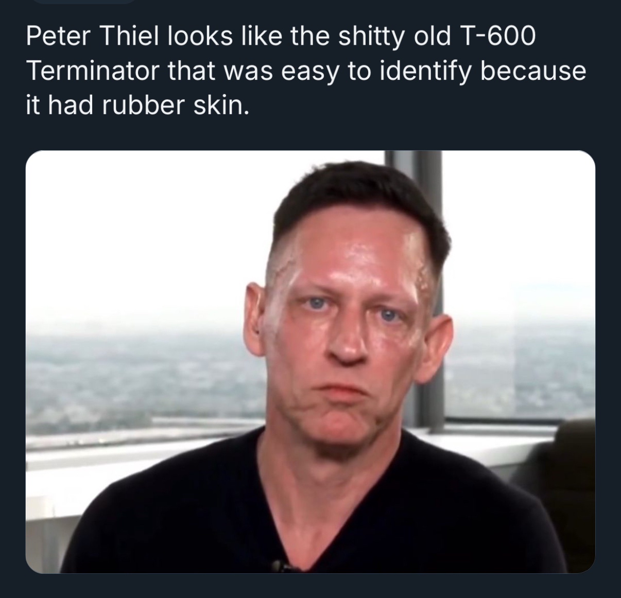 The Rise of the Peter Thielminator: A Tech Titan's Journey