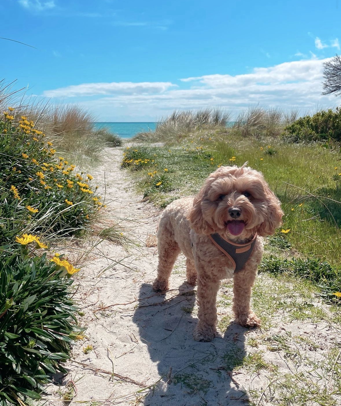 I Might Be Biased, But He’s the Most Adorable Boy Ever!