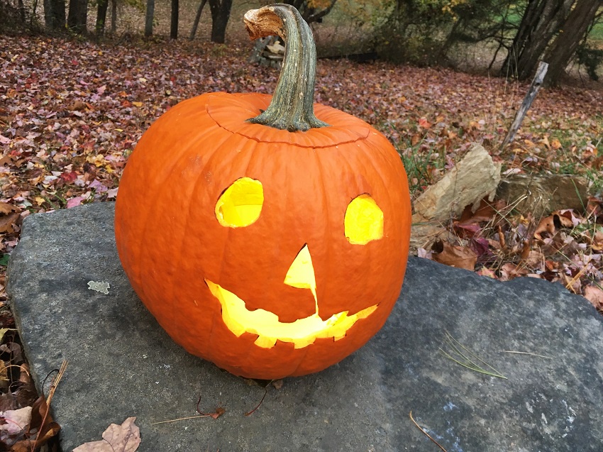 The Iconic 'Halloween' Pumpkin: A Seasonal Classic