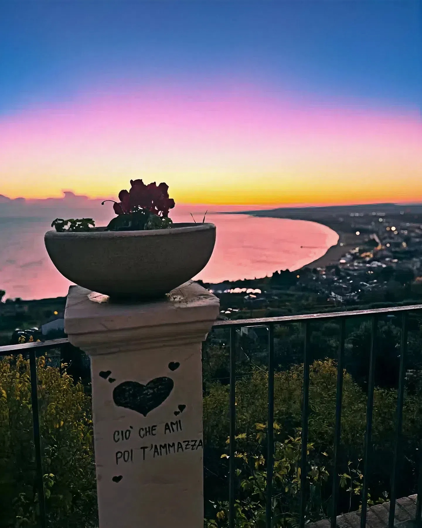 A Vibrant Bloom Against a Stunning Painted Sunset