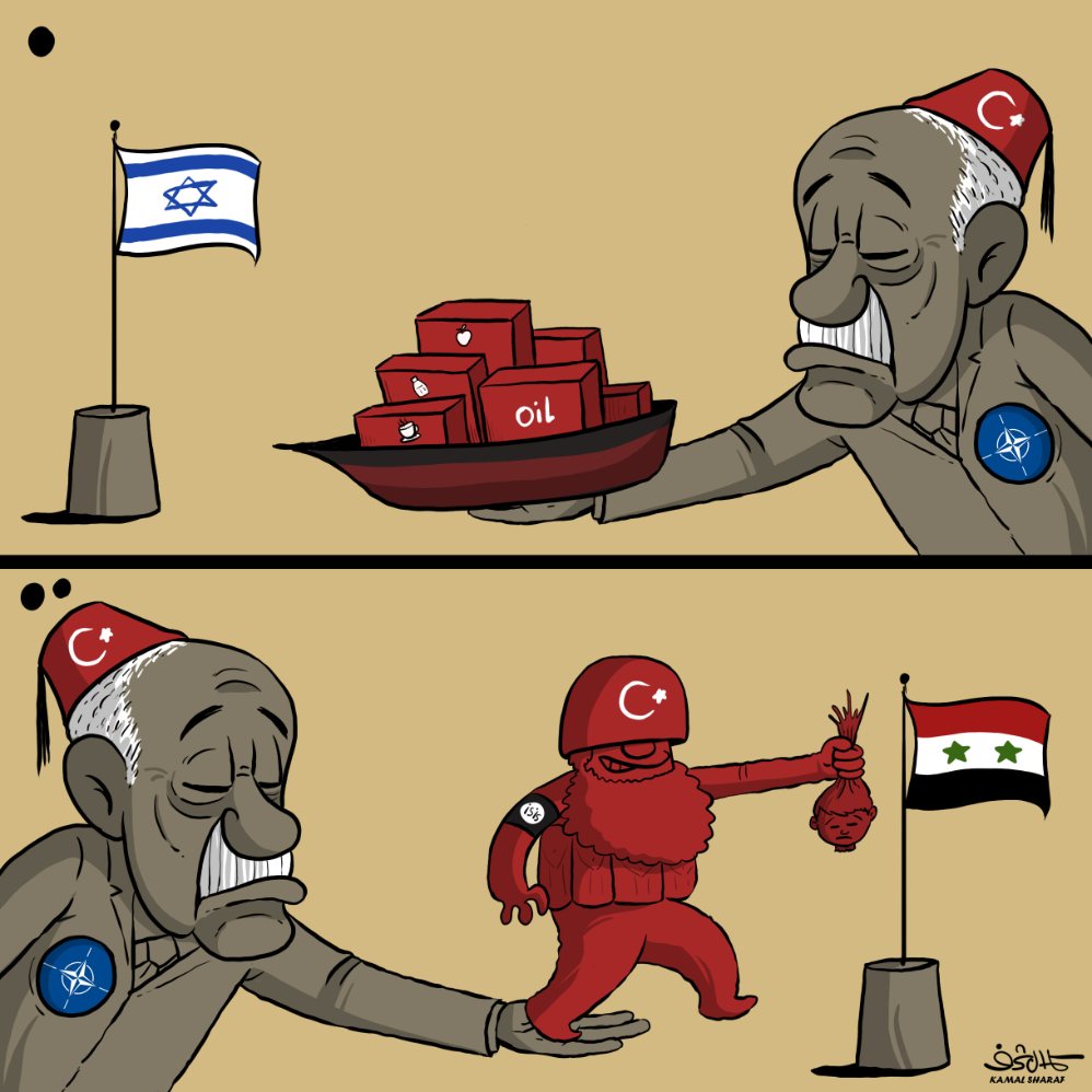 Understanding Erdoğanın's Controversial Policy Decisions