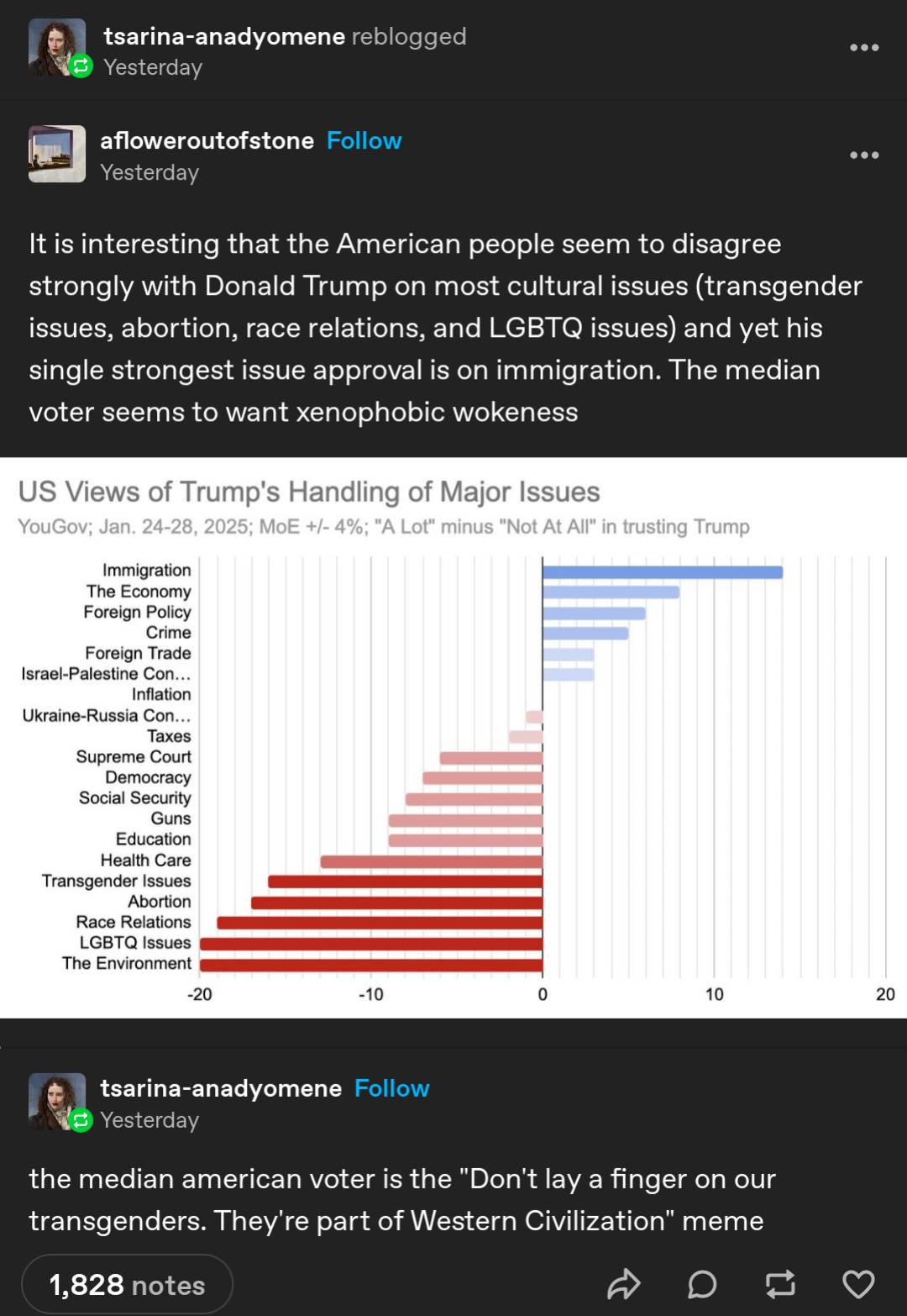 The Average American Voter: A Snapshot