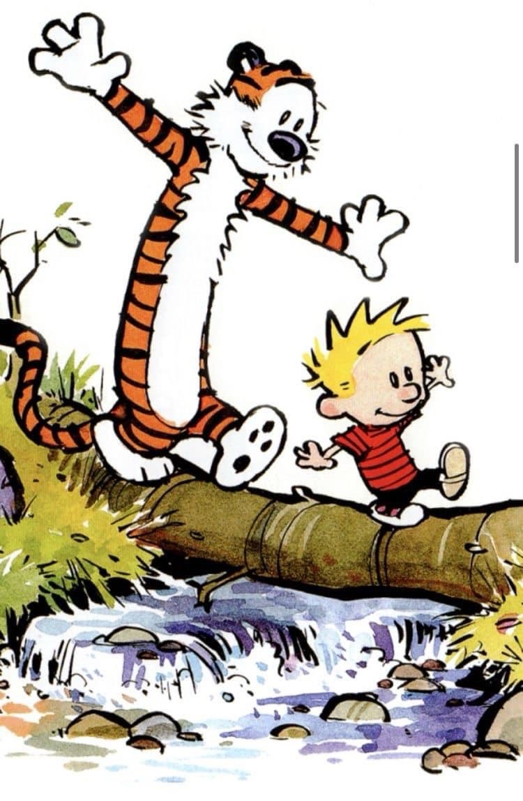 A Treasure Trove of Calvin & Hobbes Comics