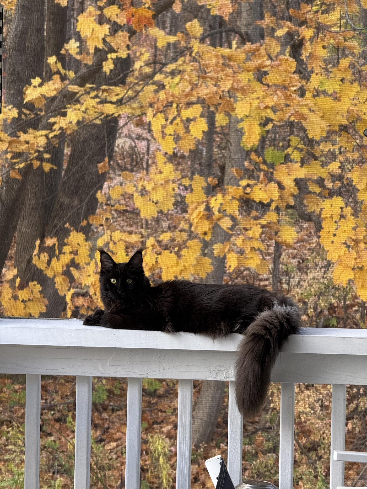 The Mysterious Soot: A Closer Look