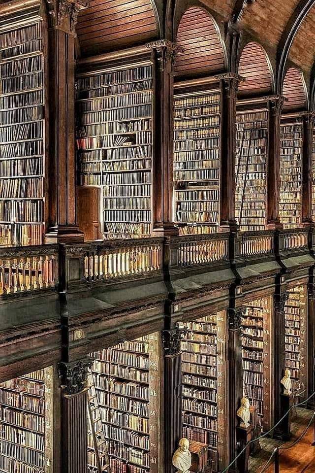 Exploring the Historic Trinity Library: A Treasure Trove of 200,000 Ancient Books in Dublin