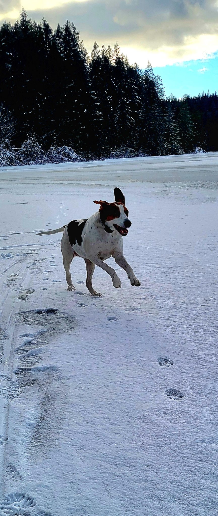 When Duck Lake Freezes Over in Winter