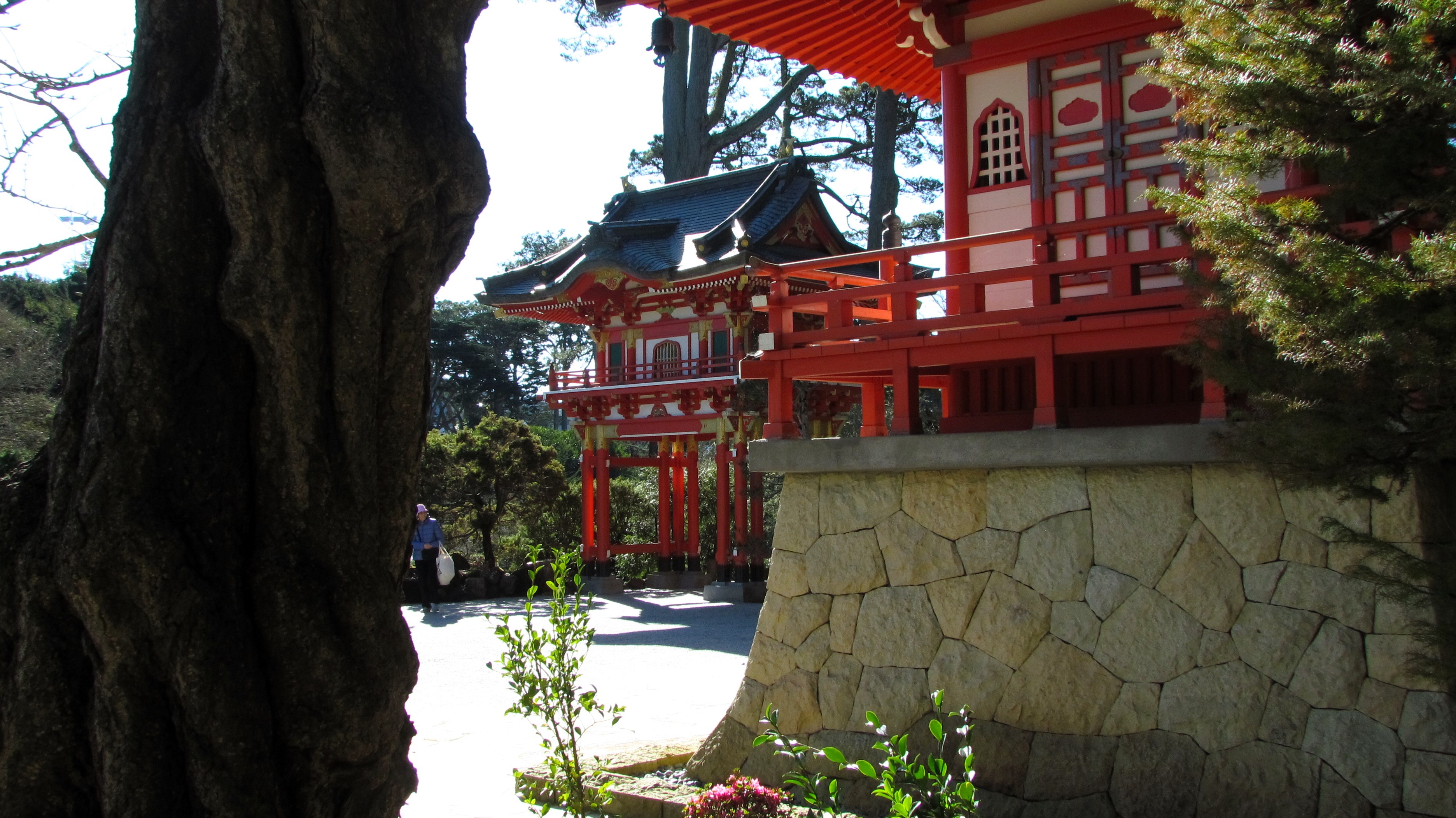 Exploring the Serenity of a Japanese Tea Garden