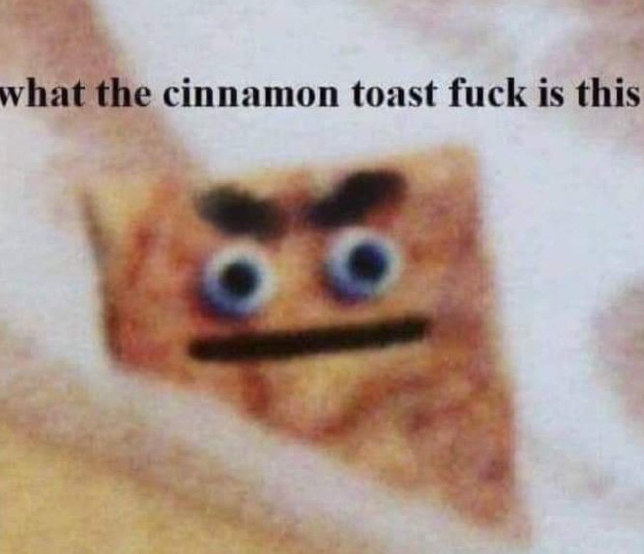 A Collection of Hilarious Memes