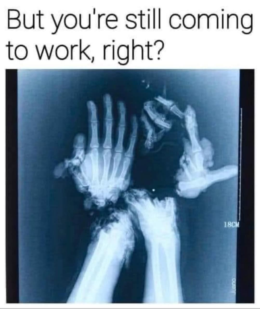Honestly, It Doesn't Look That Bad