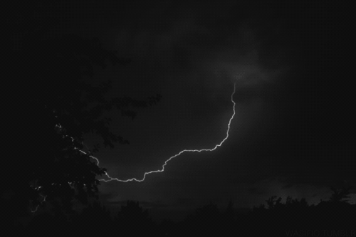 Nature's Electric Show