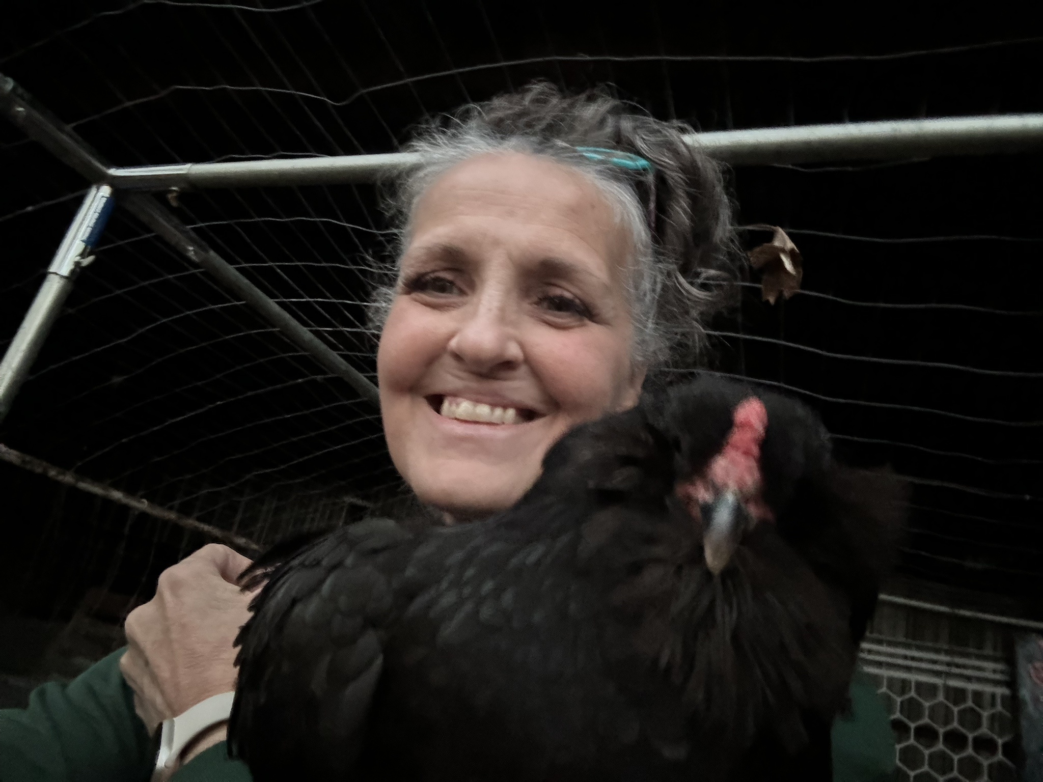 From Foe to Friend: The Chicken Transformation