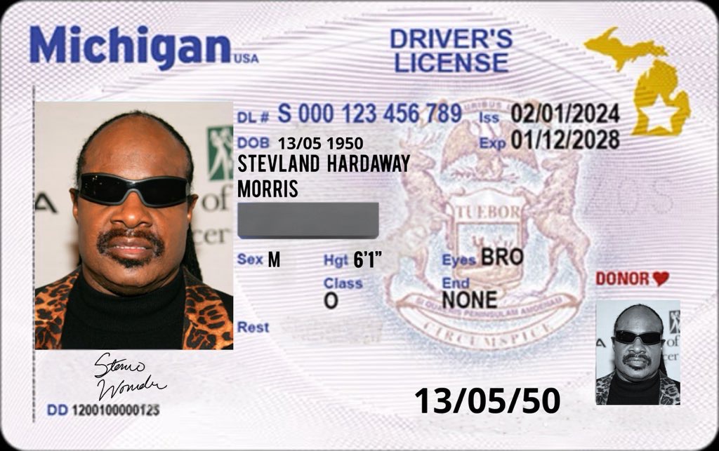 Michigan's New Driving Licenses: Packed with Safety, but What About the Tests?