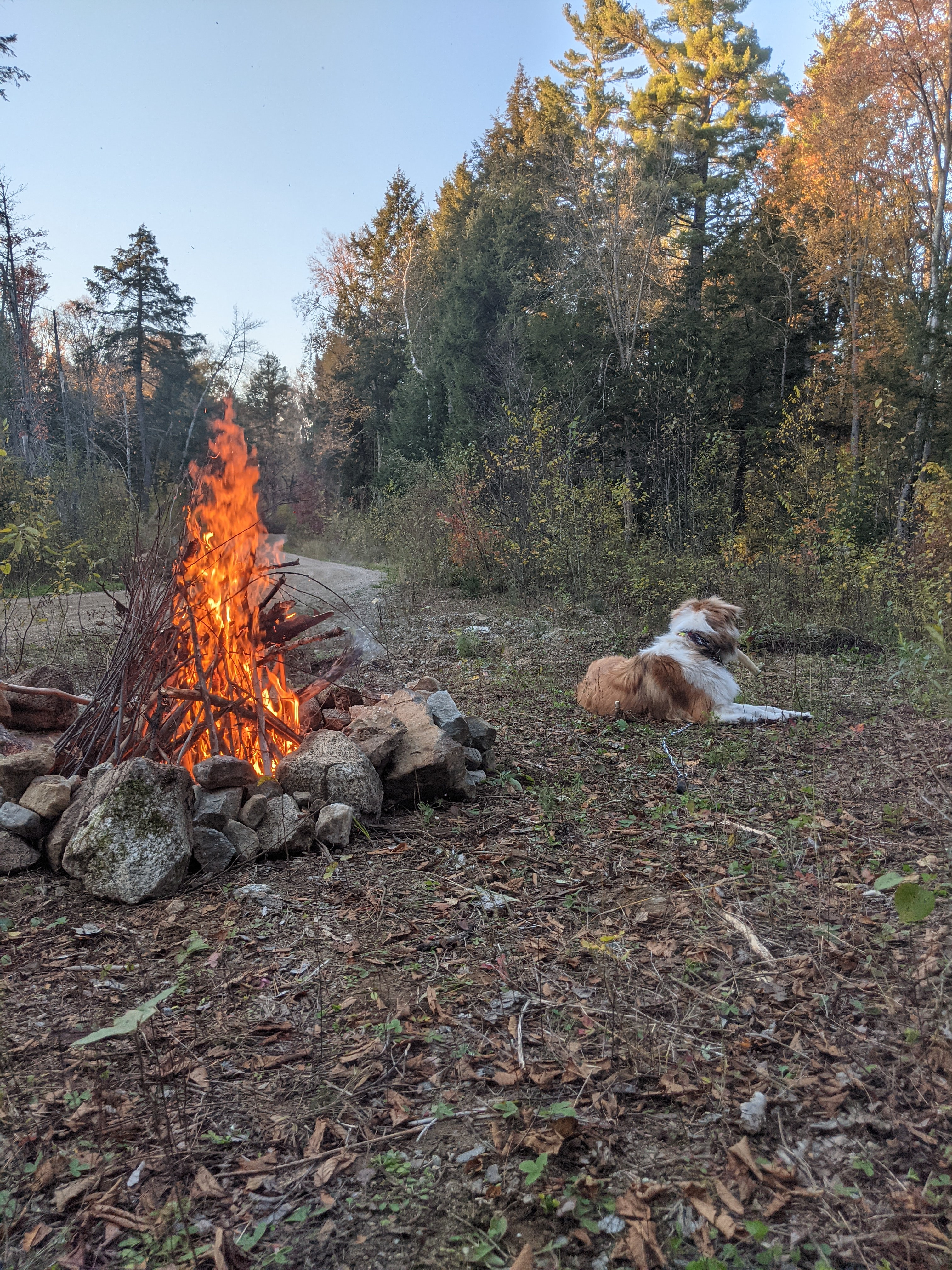 His Heart Belongs to the Great Outdoors