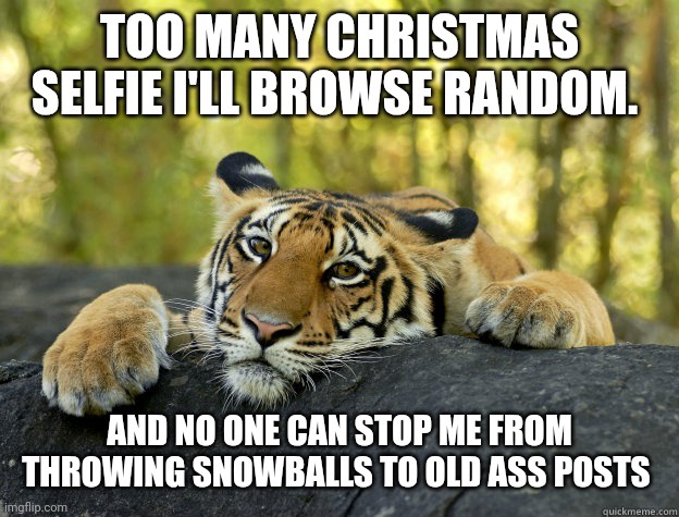 Bringing Back the Snowball Fun with a Nostalgic Twist!