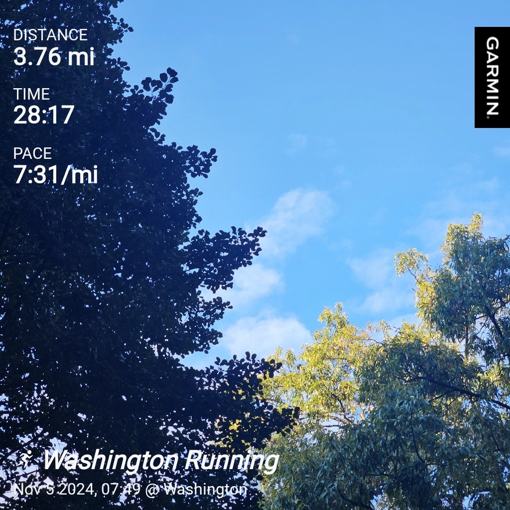 Today's Daily Run: Let's Hit the Ground!