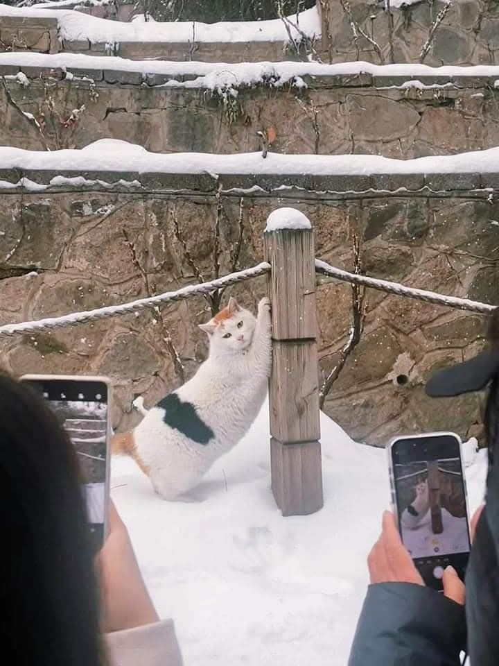 Striking a Pose: Capturing the Moment